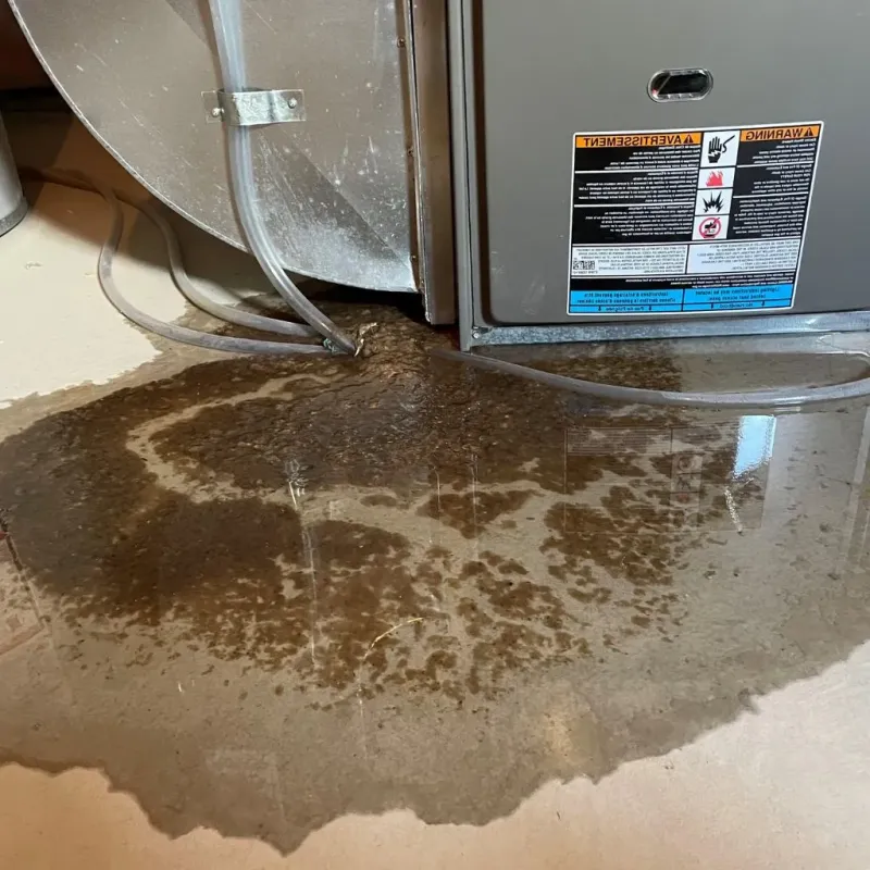 Pipe Burst and Leak Restoration in Inez, KY