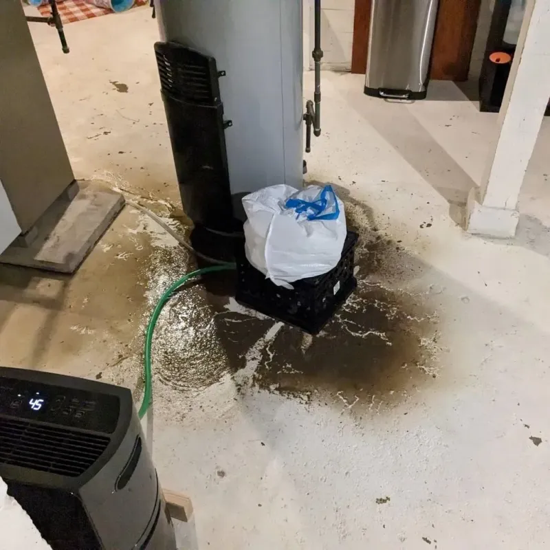 Sewage Backup Cleanup Service in Inez, KY